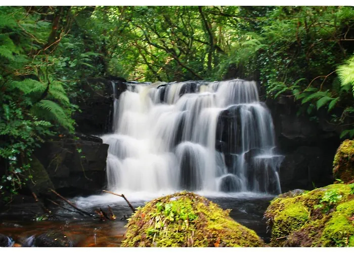 Vakantiehuis Tully View House