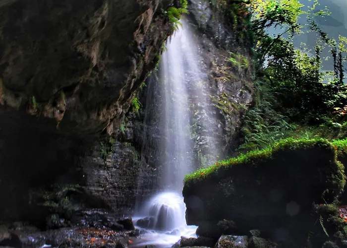 Tully View House 度假居 *